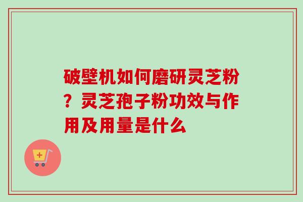 破壁机如何磨研灵芝粉？灵芝孢子粉功效与作用及用量是什么