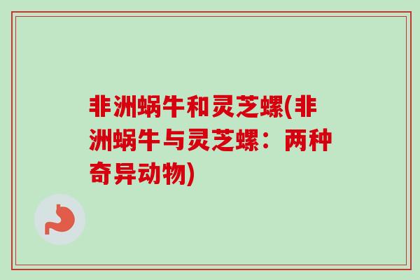 非洲蜗牛和灵芝螺(非洲蜗牛与灵芝螺:两种奇异动物) 非洲蜗牛和灵芝螺(非洲蜗牛与灵芝螺:两种奇异动物)