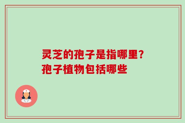 灵芝的孢子是指哪里?孢子植物包括哪些 灵芝的孢子是指哪里?孢子植物包括哪些