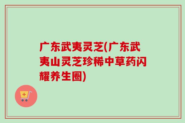 广东武夷灵芝(广东武夷山灵芝珍稀中草药闪耀养生圈) 广东武夷灵芝(广东武夷山灵芝珍稀中草药闪耀养生圈)