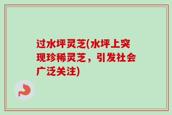 过水坪灵芝(水坪上突现珍稀灵芝,引发社会广泛关注) 过水坪灵芝(水坪上突现珍稀灵芝,引发社会广泛关注)