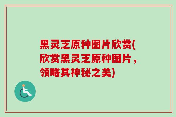 黑灵芝原种图片欣赏(欣赏黑灵芝原种图片,领略其神秘之美) 黑灵芝原种图片欣赏(欣赏黑灵芝原种图片,领略其神秘之美)