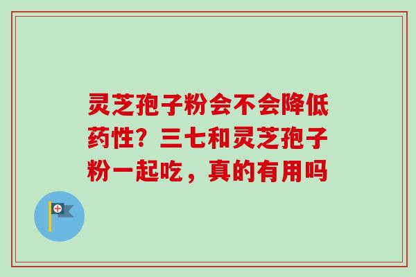 灵芝孢子粉会不会降低？三七和灵芝孢子粉一起吃，真的有用吗