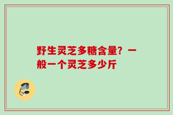 野生灵芝多糖含量？一般一个灵芝多少斤