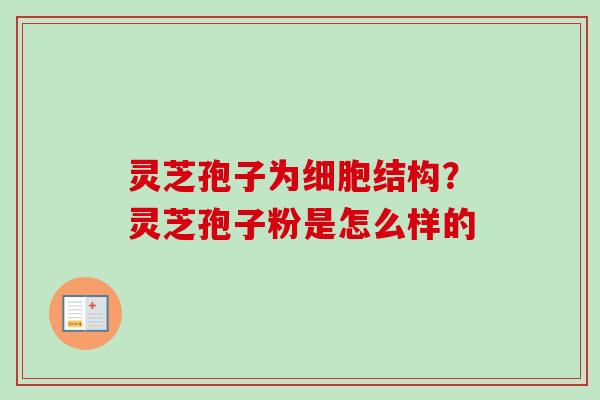 灵芝孢子为细胞结构？灵芝孢子粉是怎么样的