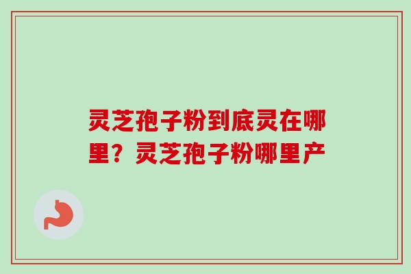 灵芝孢子粉到底灵在哪里?灵芝孢子粉哪里产 灵芝孢子粉到底灵在哪里?灵芝孢子粉哪里产