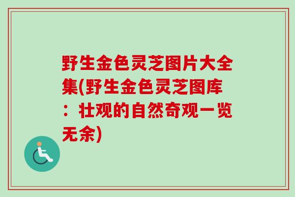 野生金色灵芝图片大全集(野生金色灵芝图库：壮观的自然奇观一览无余)