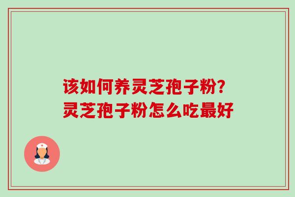 该如何养灵芝孢子粉?灵芝孢子粉怎么吃好 该如何养灵芝孢子粉?灵芝孢子粉怎么吃好
