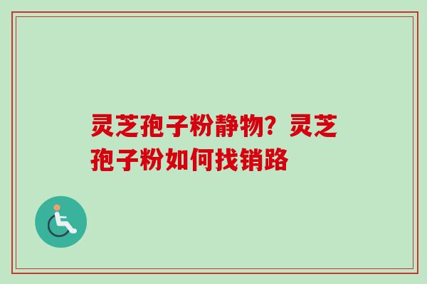 灵芝孢子粉静物?灵芝孢子粉如何找销路 灵芝孢子粉静物?灵芝孢子粉如何找销路