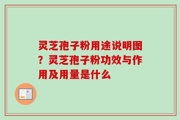 灵芝孢子粉用途说明图?灵芝孢子粉功效与作用及用量是什么 灵芝孢子粉用途说明图?灵芝孢子粉功效与作用及用量是什么