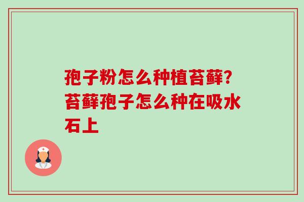 孢子粉怎么种植苔藓?苔藓孢子怎么种在吸水石上 孢子粉怎么种植苔藓?苔藓孢子怎么种在吸水石上