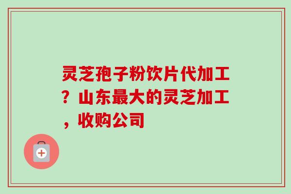 灵芝孢子粉饮片代加工？山东大的灵芝加工，收购公司
