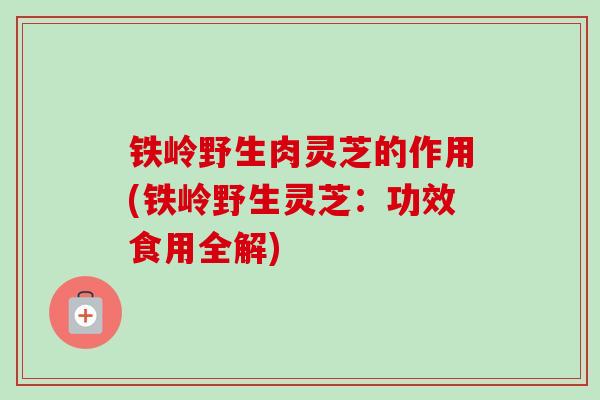 铁岭野生肉灵芝的作用(铁岭野生灵芝：功效食用全解)