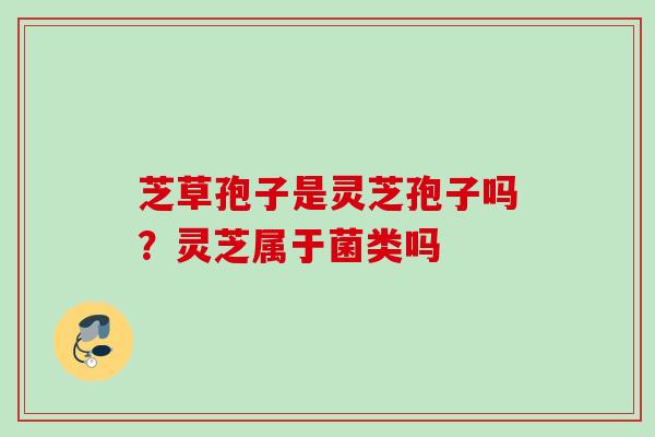 芝草孢子是灵芝孢子吗？灵芝属于菌类吗