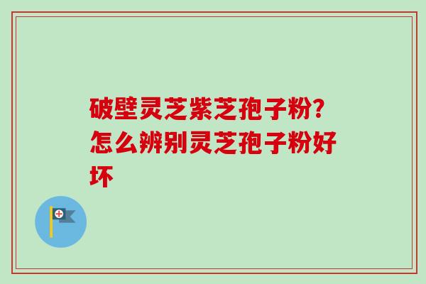 破壁灵芝紫芝孢子粉?怎么辨别灵芝孢子粉好坏 破壁灵芝紫芝孢子粉?怎么辨别灵芝孢子粉好坏