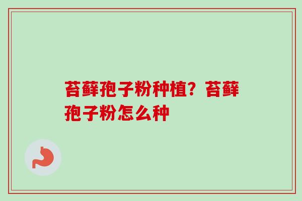 苔藓孢子粉种植？苔藓孢子粉怎么种