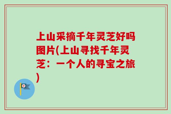上山采摘千年灵芝好吗图片(上山寻找千年灵芝：一个人的寻宝之旅)
