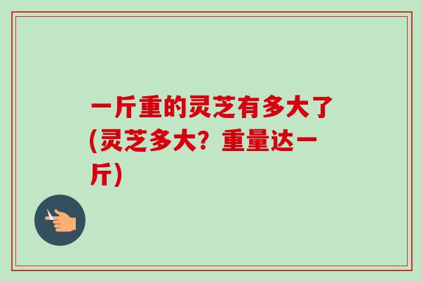 一斤重的灵芝有多大了(灵芝多大?重量达一斤) 一斤重的灵芝有多大了(灵芝多大?重量达一斤)