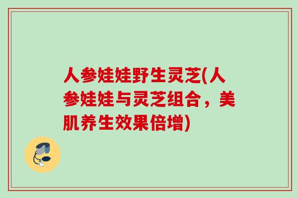 人参娃娃野生灵芝(人参娃娃与灵芝组合,美肌养生效果倍增) 人参娃娃野生灵芝(人参娃娃与灵芝组合,美肌养生效果倍增)