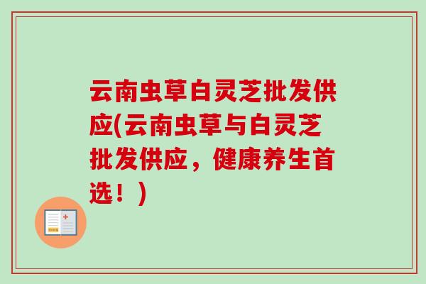 云南虫草白灵芝批发供应(云南虫草与白灵芝批发供应，健康养生首选！)