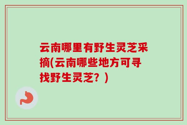 云南哪里有野生灵芝采摘(云南哪些地方可寻找野生灵芝?) 云南哪里有野生灵芝采摘(云南哪些地方可寻找野生灵芝?)