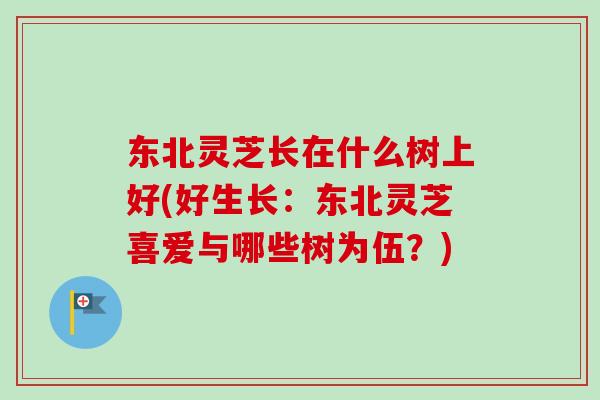 东北灵芝长在什么树上好(好生长:东北灵芝喜爱与哪些树为伍?) 东北灵芝长在什么树上好(好生长:东北灵芝喜爱与哪些树为伍?)