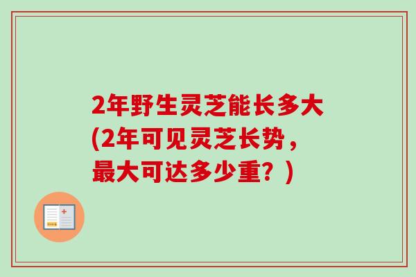 2年野生灵芝能长多大(2年可见灵芝长势,大可达多少重?) 2年野生灵芝能长多大(2年可见灵芝长势,大可达多少重?)