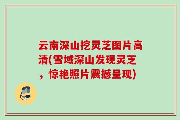 云南深山挖灵芝图片高清(雪域深山发现灵芝,惊艳照片震撼呈现) 云南深山挖灵芝图片高清(雪域深山发现灵芝,惊艳照片震撼呈现)