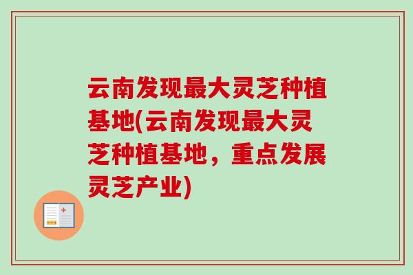 云南发现大灵芝种植基地(云南发现大灵芝种植基地，重点发展灵芝产业)