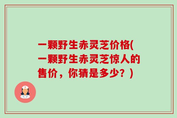 一颗野生赤灵芝价格(一颗野生赤灵芝惊人的售价,你猜是多少?) 一颗野生赤灵芝价格(一颗野生赤灵芝惊人的售价,你猜是多少?)