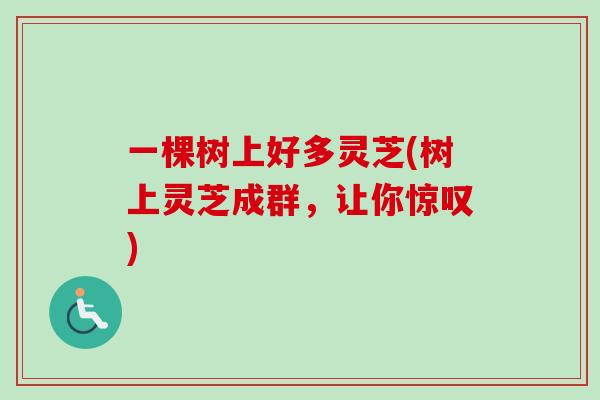 一棵树上好多灵芝(树上灵芝成群,让你惊叹) 一棵树上好多灵芝(树上灵芝成群,让你惊叹)