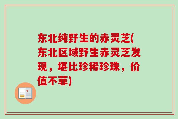 东北纯野生的赤灵芝(东北区域野生赤灵芝发现,堪比珍稀珍珠,价值不菲) 东北纯野生的赤灵芝(东北区域野生赤灵芝发现,堪比珍稀珍珠,价值不菲)