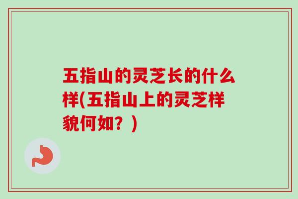 五指山的灵芝长的什么样(五指山上的灵芝样貌何如?) 五指山的灵芝长的什么样(五指山上的灵芝样貌何如?)
