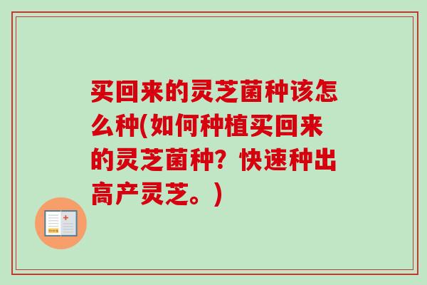 买回来的灵芝菌种该怎么种(如何种植买回来的灵芝菌种？快速种出高产灵芝。)