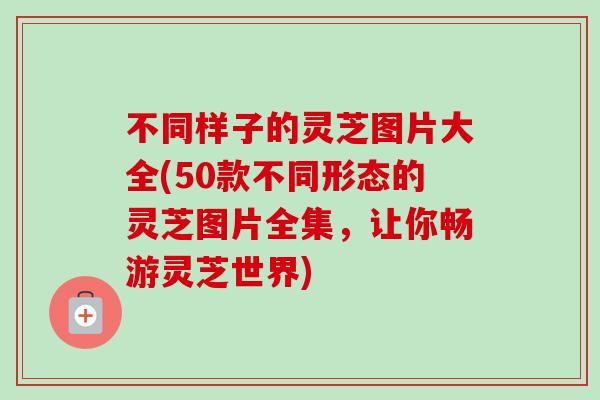 不同样子的灵芝图片大全(50款不同形态的灵芝图片全集,让你畅游灵芝世界) 不同样子的灵芝图片大全(50款不同形态的灵芝图片全集,让你畅游灵芝世界)