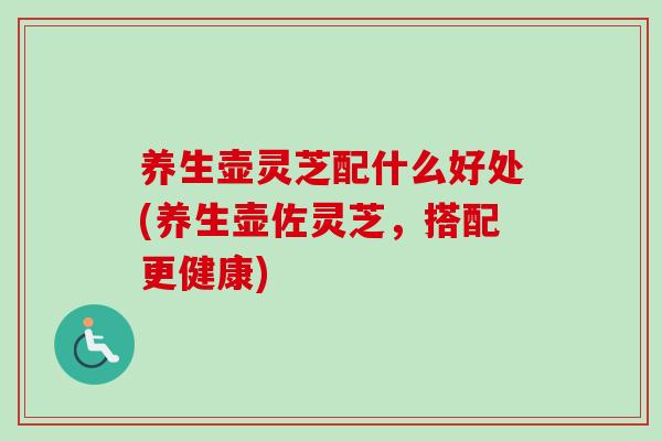 养生壶灵芝配什么好处(养生壶佐灵芝,搭配更健康) 养生壶灵芝配什么好处(养生壶佐灵芝,搭配更健康)