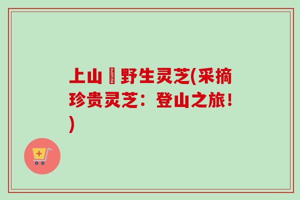 上山釆野生灵芝(采摘珍贵灵芝:登山之旅!) 上山釆野生灵芝(采摘珍贵灵芝:登山之旅!)