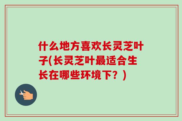 什么地方喜欢长灵芝叶子(长灵芝叶适合生长在哪些环境下?) 什么地方喜欢长灵芝叶子(长灵芝叶适合生长在哪些环境下?)
