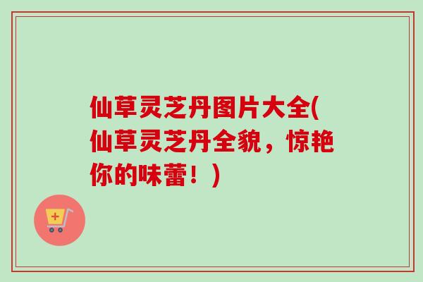 仙草灵芝丹图片大全(仙草灵芝丹全貌,惊艳你的味蕾!) 仙草灵芝丹图片大全(仙草灵芝丹全貌,惊艳你的味蕾!)