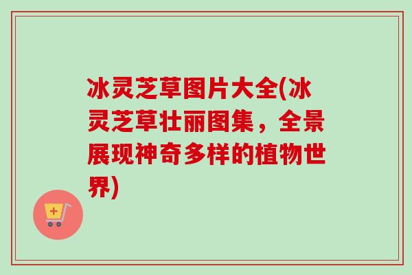 冰灵芝草图片大全(冰灵芝草壮丽图集,全景展现神奇多样的植物世界) 冰灵芝草图片大全(冰灵芝草壮丽图集,全景展现神奇多样的植物世界)