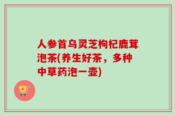 人参首乌灵芝枸杞鹿茸泡茶(养生好茶,多种中草药泡一壶) 人参首乌灵芝枸杞鹿茸泡茶(养生好茶,多种中草药泡一壶)