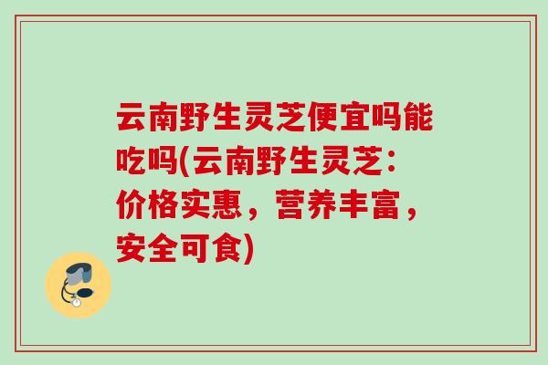 云南野生灵芝便宜吗能吃吗(云南野生灵芝:价格实惠,营养丰富,安全可食) 云南野生灵芝便宜吗能吃吗(云南野生灵芝:价格实惠,营养丰富,安全可食)