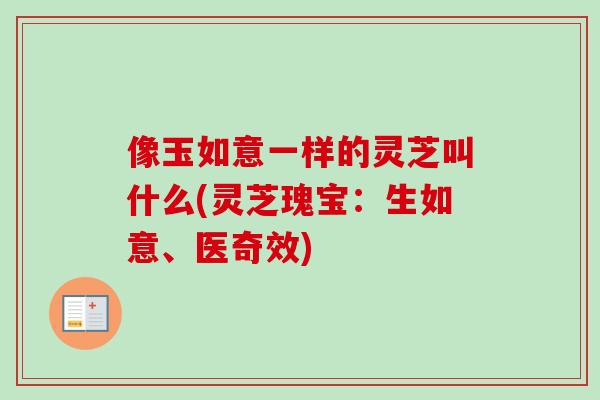 像玉如意一样的灵芝叫什么(灵芝瑰宝:生如意、医奇效) 像玉如意一样的灵芝叫什么(灵芝瑰宝:生如意、医奇效)
