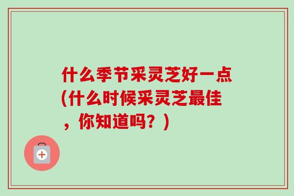 什么季节采灵芝好一点(什么时候采灵芝佳，你知道吗？)
