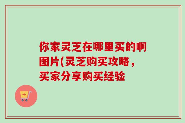 你家灵芝在哪里买的啊图片(灵芝购买攻略,买家分享购买经验 你家灵芝在哪里买的啊图片(灵芝购买攻略,买家分享购买经验