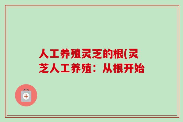 人工养殖灵芝的根(灵芝人工养殖:从根开始 人工养殖灵芝的根(灵芝人工养殖:从根开始