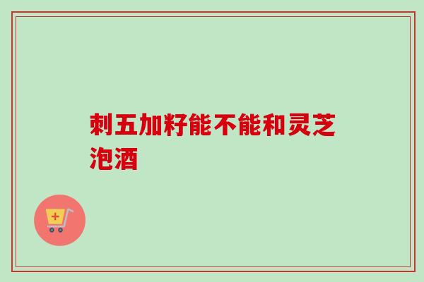 刺五加籽能不能和灵芝泡酒