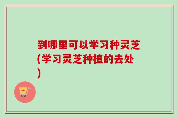 到哪里可以学习种灵芝(学习灵芝种植的去处) 到哪里可以学习种灵芝(学习灵芝种植的去处)