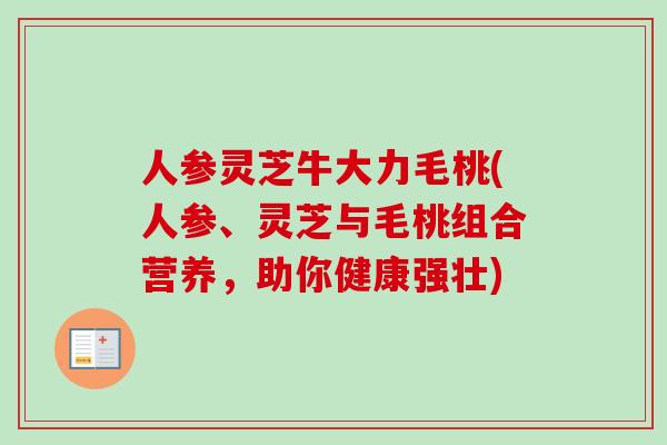 人参灵芝牛大力毛桃(人参、灵芝与毛桃组合营养,助你健康强壮) 人参灵芝牛大力毛桃(人参、灵芝与毛桃组合营养,助你健康强壮)