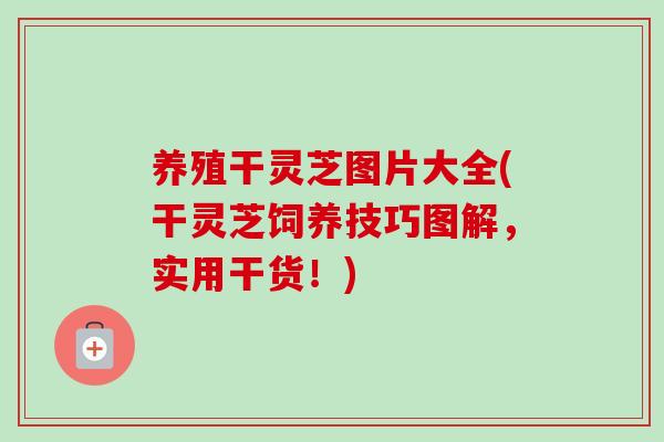 养殖干灵芝图片大全(干灵芝饲养技巧图解,实用干货!) 养殖干灵芝图片大全(干灵芝饲养技巧图解,实用干货!)